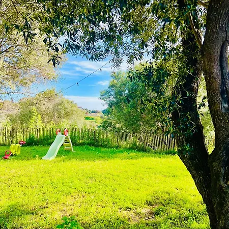 Apartment Loft Entre Et Campagne A 5 Min D'ajaccio Classe 4 Etoiles Alata