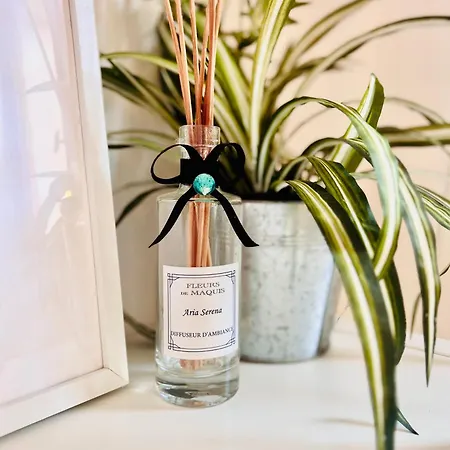 Apartment Loft Entre Et Campagne A 5 Min D'ajaccio Classe 4 Etoiles