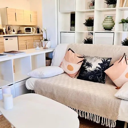 Loft Entre Et Campagne A 5 Min D'ajaccio Classe 4 Etoiles Apartment