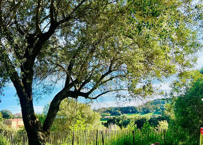 Daire Loft Entre Et Campagne A 5 Min D'ajaccio Classe 4 Etoiles Alata