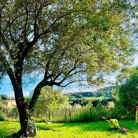 Apartament Loft Entre Et Campagne A 5 Min D'ajaccio Classe 4 Etoiles Alata