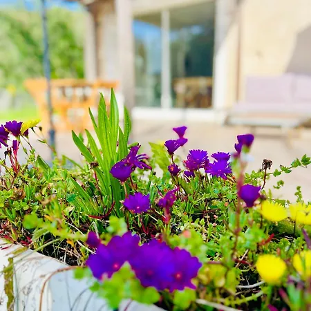 Apartament Loft Entre Et Campagne A 5 Min D'ajaccio Classe 4 Etoiles Alata