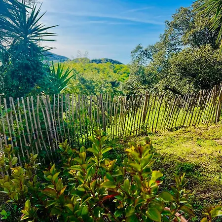 Loft Entre Et Campagne A 5 Min D'ajaccio Classe 4 Etoiles *