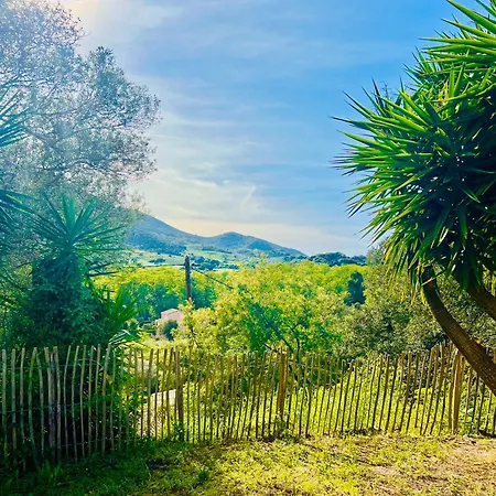 Loft Entre Et Campagne A 5 Min D'ajaccio Classe 4 Etoiles