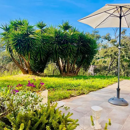 Loft Entre Et Campagne A 5 Min D'ajaccio Classe 4 Etoiles Apartament Alata