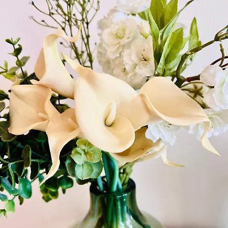 Loft Entre Et Campagne A 5 Min D'ajaccio Classe 4 Etoiles Apartament