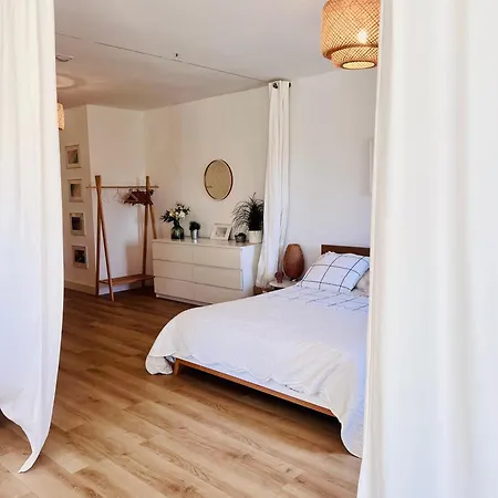 Loft Entre Et Campagne A 5 Min D'ajaccio Classe 4 Etoiles *