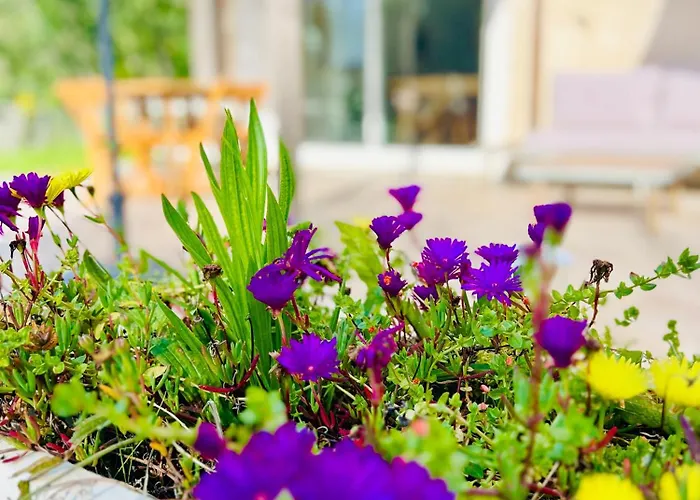 Διαμέρισμα Loft Entre Et Campagne A 5 Min D'ajaccio Classe 4 Etoiles Alata