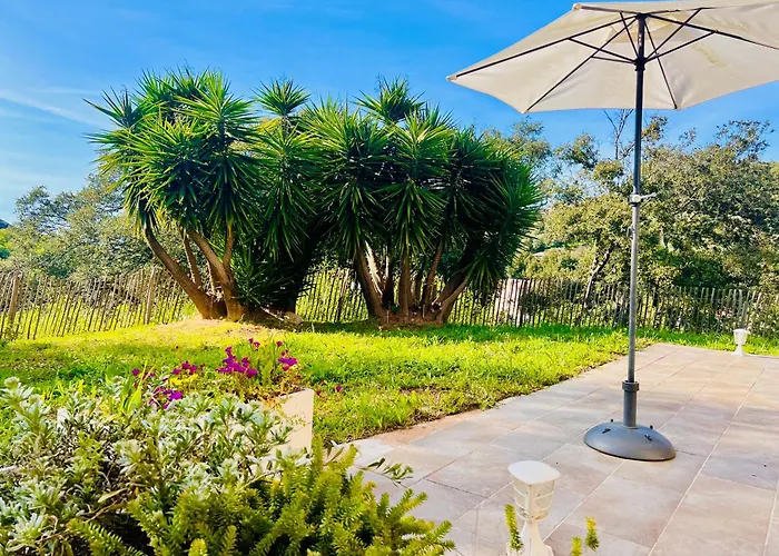 Loft Entre Et Campagne A 5 Min D'ajaccio Classe 4 Etoiles Διαμέρισμα Alata