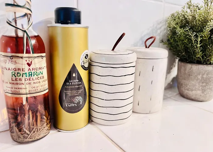 Loft Entre Et Campagne A 5 Min D'ajaccio Classe 4 Etoiles *