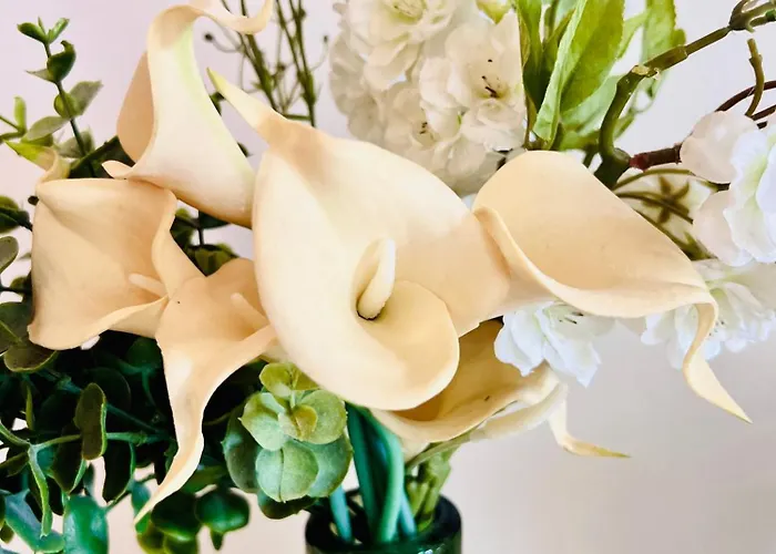 Loft Entre Et Campagne A 5 Min D'ajaccio Classe 4 Etoiles Διαμέρισμα