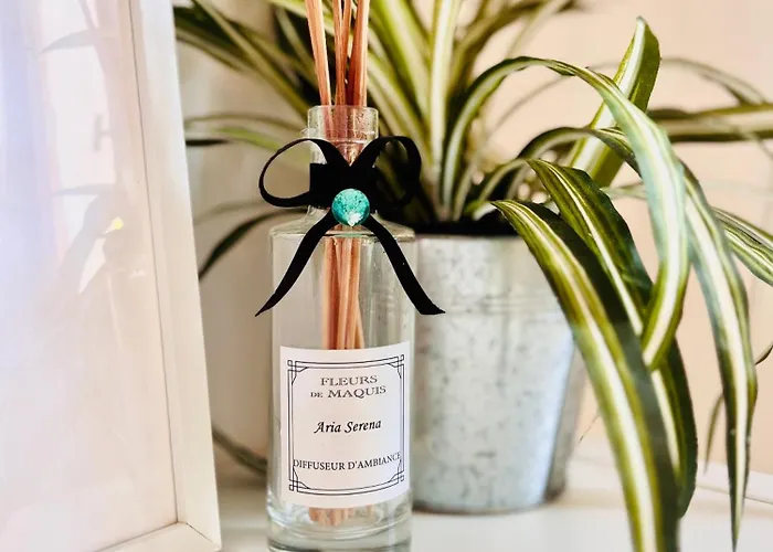 Διαμέρισμα Loft Entre Et Campagne A 5 Min D'ajaccio Classe 4 Etoiles